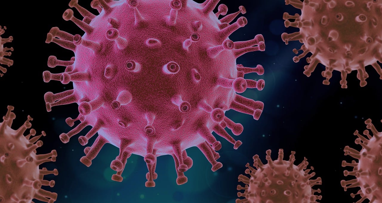 A detailed illustration of the COVID-19 virus showing its spiky structure in a vibrant pink color against a dark background.